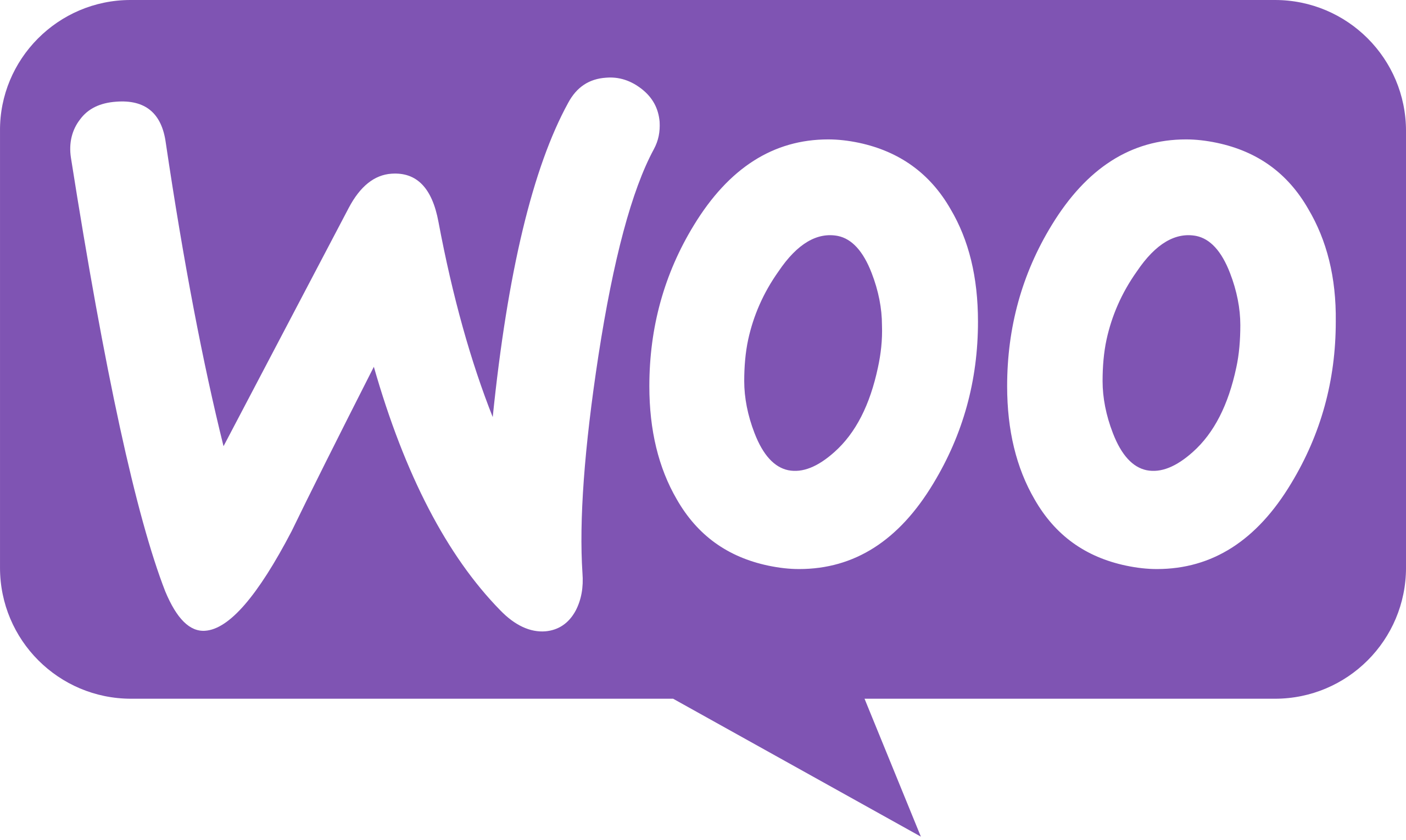 WooCommerce WooCommerce